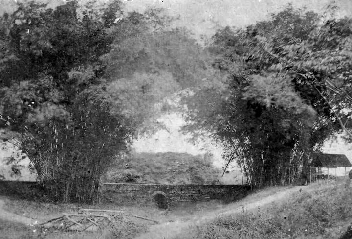 Royal Botanic Gardens. The Hollow At lower end of the present Zoo about where the macaw cage is today. (1869) Queens Park Savannah Photograph J.W.H. Campion, Barbados.jpg 